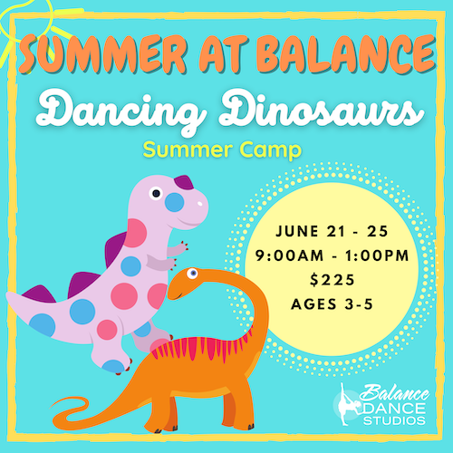 BDS Dino camp