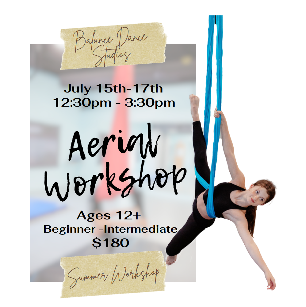 Aerial Workshop2