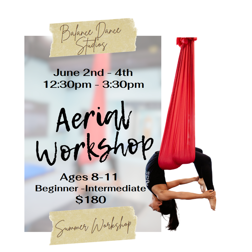Aerial workshop
